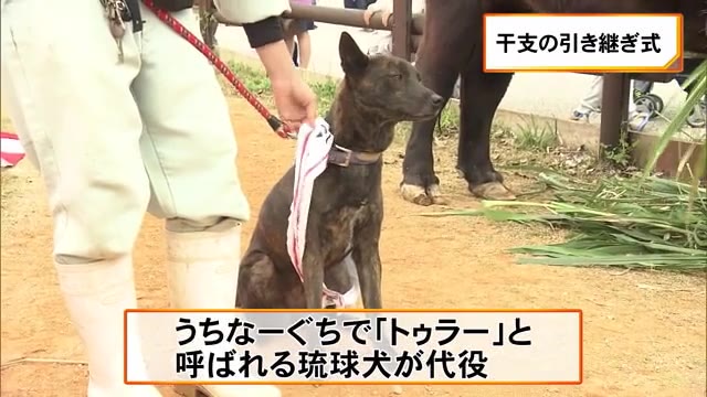 今年の干支を引き継いだのは 沖縄こどもの国 Okitive