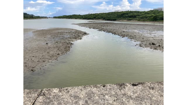 うるま市で６歳男児が水路転落か 捜索続く Okitive Goo ニュース