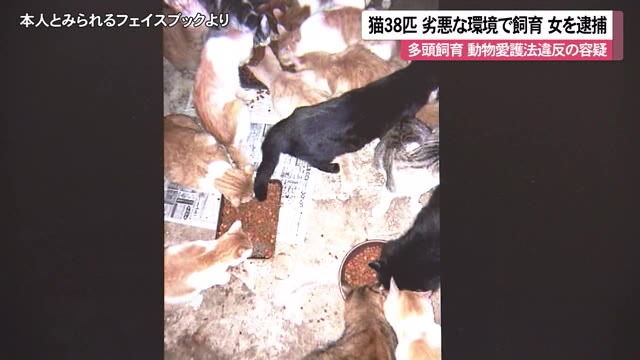 糞尿が処理されない劣悪環境で多頭飼育 動物 虐待 容疑で女を逮捕 Okitive