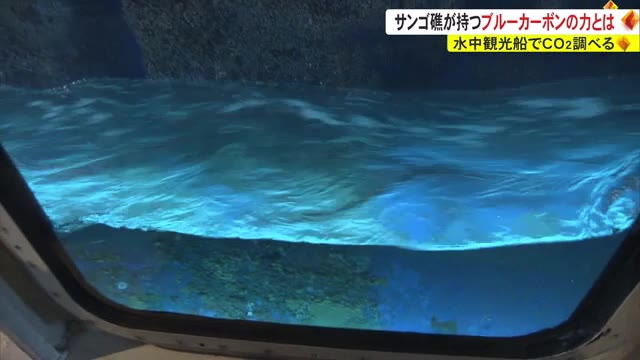  NASA、地球の周りを移動する二酸化炭素のこれまでに見たことのない画像を公開