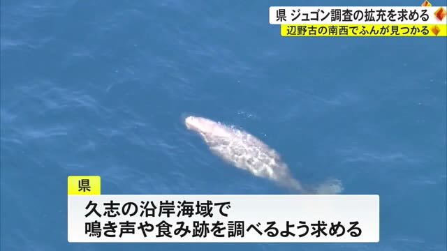 ジュゴンのふん発見 辺野古工事を進める国に調査の拡充を求める | OKITIVE