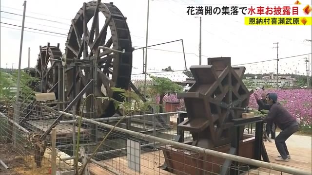 水と花で地域おこし 恩納村喜瀬武原に足踏み水車がお目見え | OKITIVE
